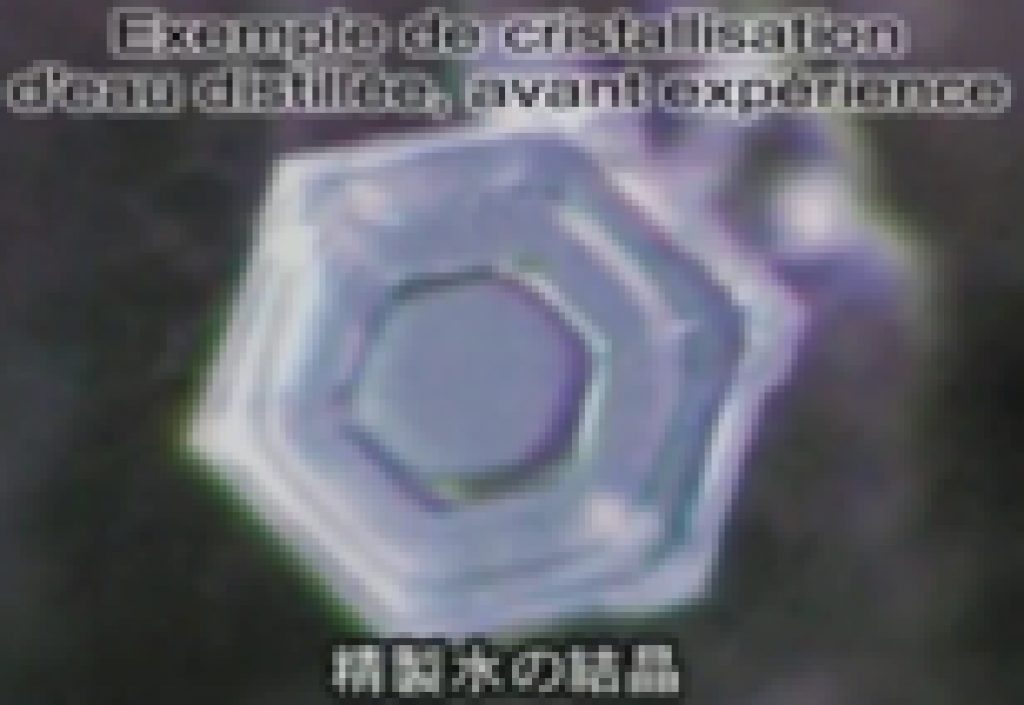 Cristallisation d’eau distillée avant expérience